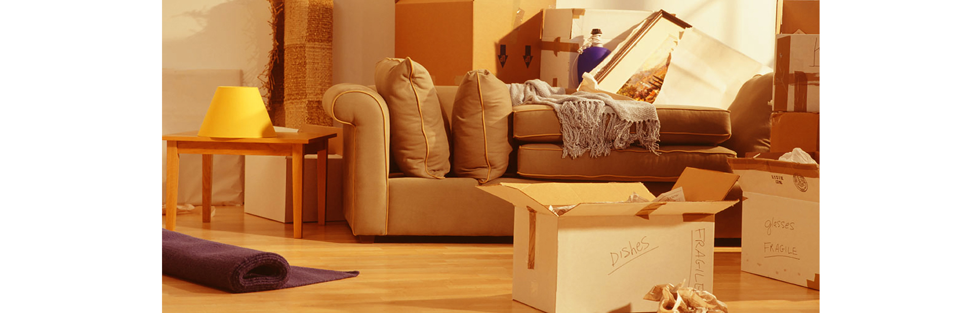 Nellore packers and movers